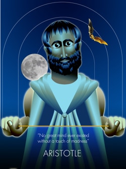 No great mind ever existed without a touch of madness. Aristotle