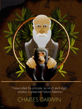 I have called this principle, by which each slight variation is preserved Natural Selection.